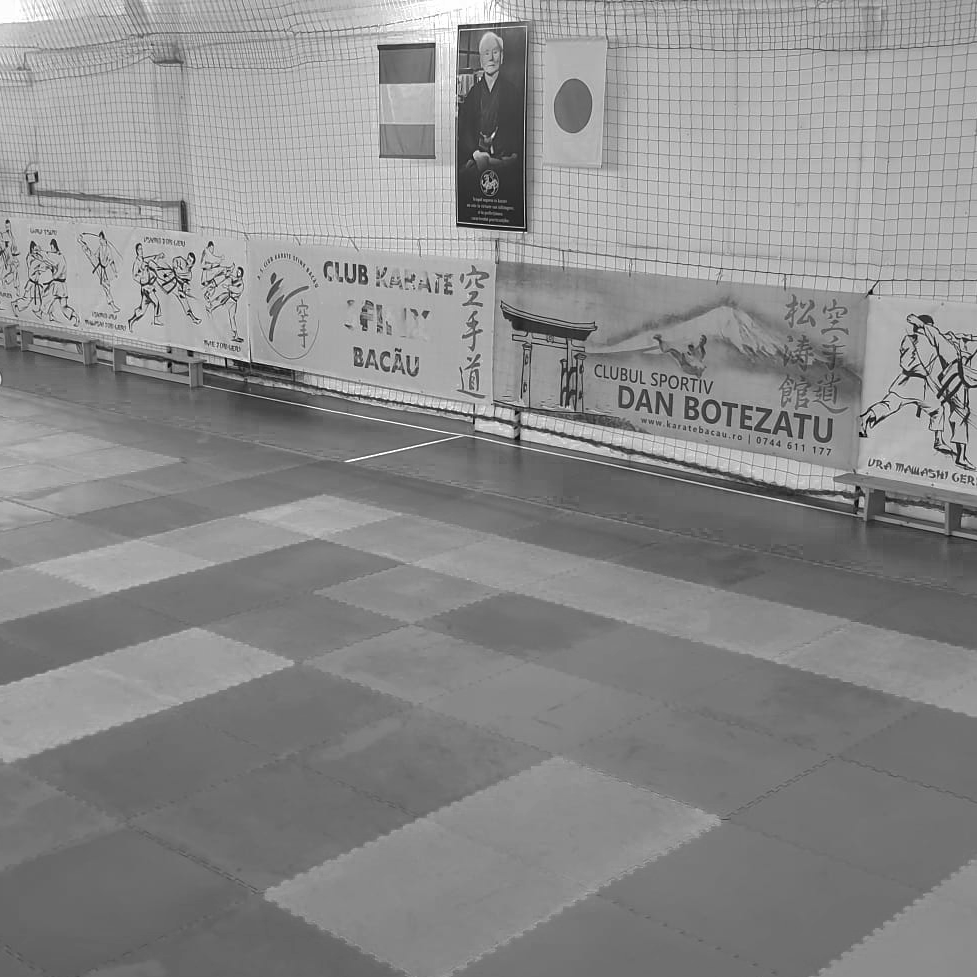 //karatebacau.ro/wp-content/uploads/2026/02/sala-tatami-e1770148526740.png